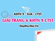 Giải KHTN 9 trang 6 Chân trời sáng tạo SGK